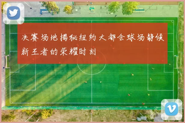 决赛场地揭秘纽约大都会球场静候新王者的荣耀时刻