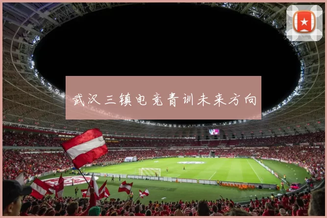 武汉三镇电竞青训未来方向