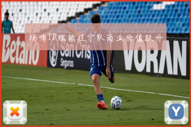 杨鸣IP赋能辽宁队商业价值跃升
