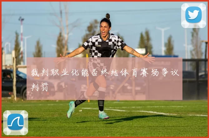 裁判职业化能否终结体育赛场争议判罚