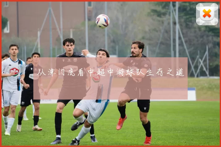 从津门虎看中超中游球队生存之道